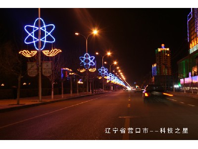 遼寧營口道路燈桿造型